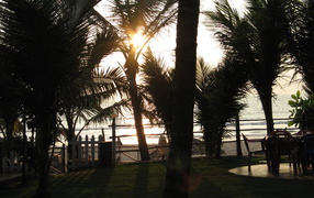 Вечером в Бенаулиме