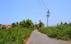 Природа в Бенаулиме