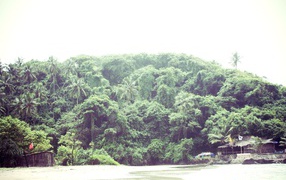 Природа в Вагаторе