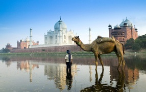 Весенний отпуск в Агре