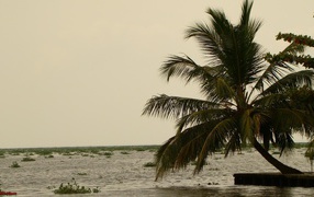 Весенний отпуск в Алапуже