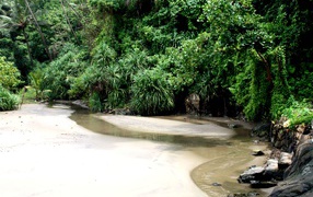 Летний отпуск в Вагаторе