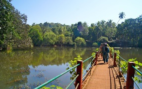 Туристы на мостике в Гоа