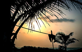 Чудесные закаты в Гоа