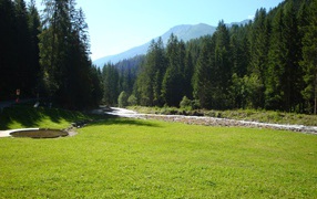 Альпийский луг на горнолыжном курорте Валь ди Соль, Италия