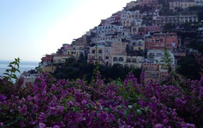 Цветущий город на курорте Позитано, Италия