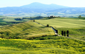 Fields near the town of Pienza, Italy