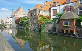 Цветущие растения в Венеции, Италия