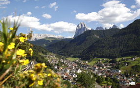 Цветы в горах на горнолыжном курорте Валь Гардена, Италия