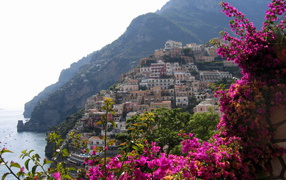 Цветы на фоне курорта Позитано, Италия