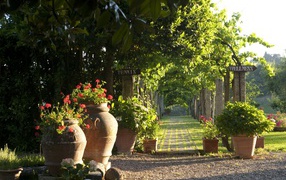 Зеленая аллея в Сиене, Италия