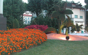 Великолепный сад на курорте Лидо ди Езоло, Италия