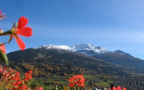 Горы в окрестностях курорта Бормио, Италия