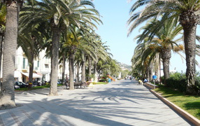 Пальмовая аллея на курорте Финале Лигуре, Италия