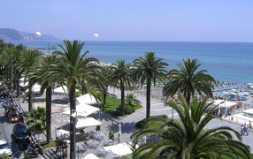 Пальмы на пляже в Лоано, Италия