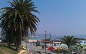Palm trees on the beach in San Remo, Italy