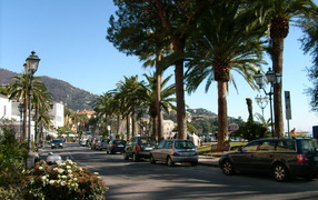 Palm trees on the promenade in the resort of Rapallo, Italy