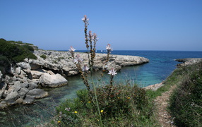 Скалистый берег в Санто Стефано аль Маре, Италия