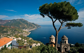 Tree above the resort town of Amalfi, Italy