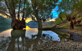 Деревья в озере, Абруццо, Италия