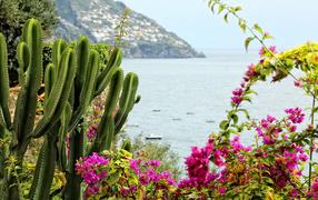 Вид со склона горы на залив на курорте Позитано, Италия