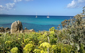 Яхты в заливе на курорте в Пьетра Лигуре, Италия