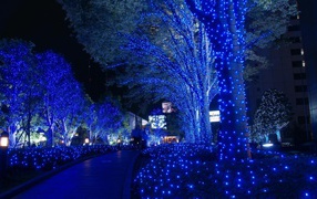 Деревья в парке в Токио