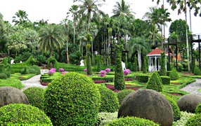 Botanical Garden Nong Nooch at a resort in Pattaya, Thailand