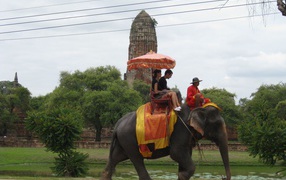 Elephant ride at the resort in Chiang Mai, Thailand