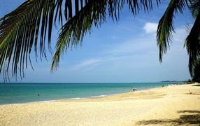 Golden Beach in Koh Samui, Thailand