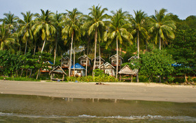 Дома среди пальм на острове Тао, Таиланд