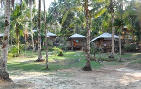Huts of palm trees on the island of Koh Kood, Thailand
