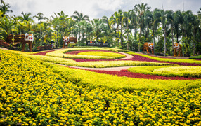 Magnificent garden at the resort in Pattaya, Thailand