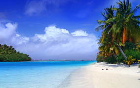 Пальмы на пляже в Пхукете, Таиланд