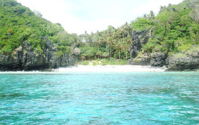 Пальмы на берегу в Пхукете, Таиланд