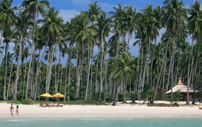 Пальмы на пляже на острове Ко Куд, Таиланд