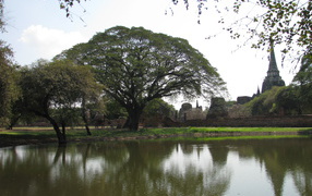Pond at a resort Ayuthaya, Thailand