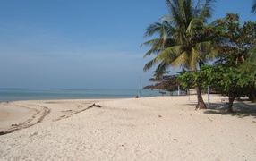 Sandy beach on Koh Phangan, Thailand