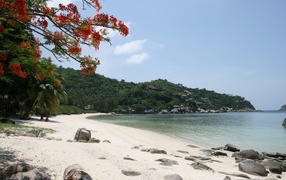 Sandy beach on the island of Koh Tao, Thailand