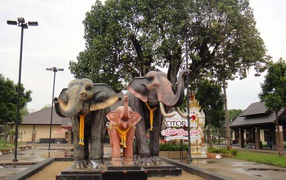 Sculpture of elephants on the street in the resort of Chiang Mai, Thailand