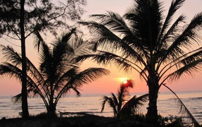 Закат среди пальм на острове Ко Куд, Таиланд