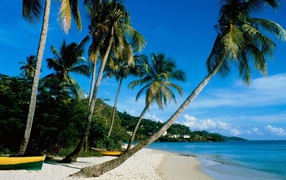 Летний отдых на курорте в Паттайе, Таиланд