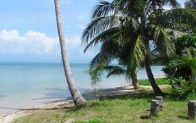 Летний отдых на острове Самуи, Таиланд