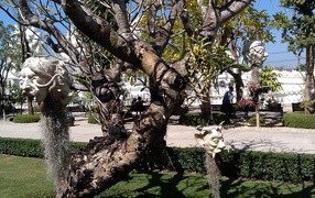 Дерево со скульптурами на курорте Чианг Рай, Таиланд