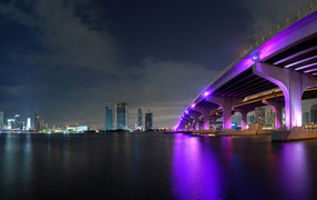 Сиреневый мост в Майами