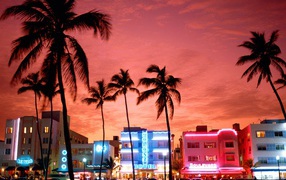 Neon lights of Miami