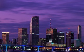Night in Miami