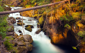 Река Северная Ампкуа, Орегон, США