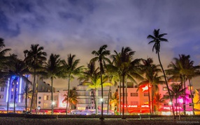 Пальмы на вечерней улице в Майами