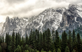 Национальный парк Йосемити, Калифорния, США